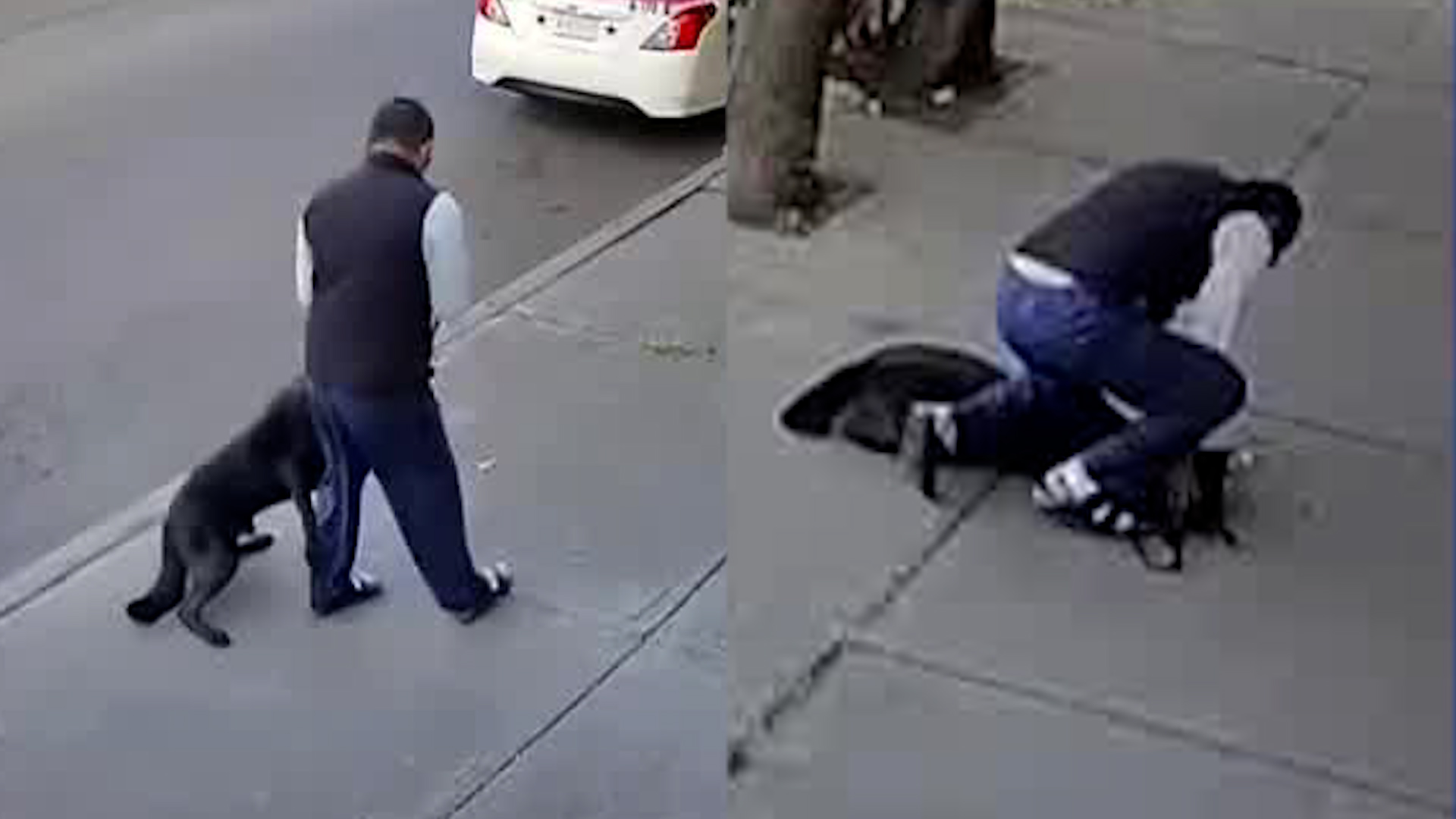 Los aullidos del perro fueron percibidos por vecinos de la zona, lo que alertó del maltrato del perrito por su propio dueño.