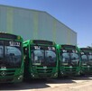 Fila de camiones de transporte público color verde (Ruta 614 / C37) estacionados frente a una bodega, bajo un cielo despejado y soleado.