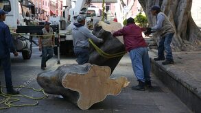 Grupo de personas retiran un árbol cortado por la mitad.