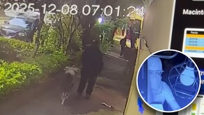 Ladrones robando oficinas de La Ruta de la Garnacha.