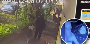 Ladrones robando oficinas de La Ruta de la Garnacha.