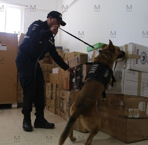 Algunas compañías ya operan con unidades caninas especializadas en la detección de drogas, las cuales permiten identificar envíos sospechosos.
