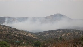 De acuerdo con datos de la Conafor este 2025, del primero de enero al 11 de diciembre, el estado registró 122 incendios forestales.