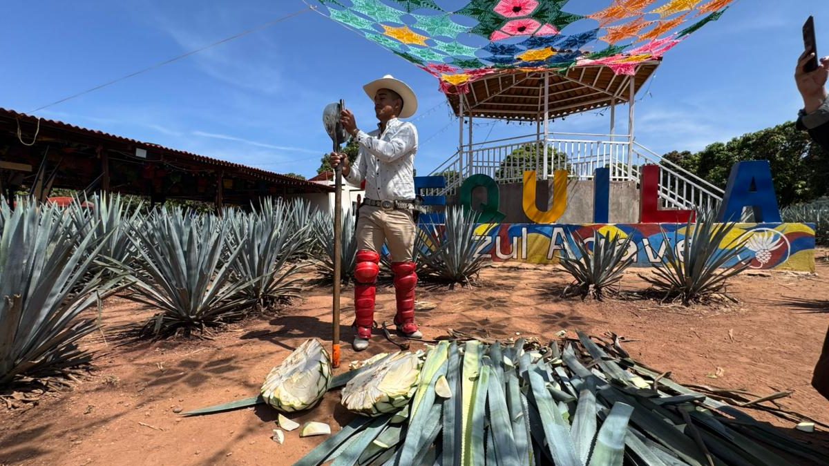 Jimador en Tequila, Jalisco en el proceso de fabricación del tequila