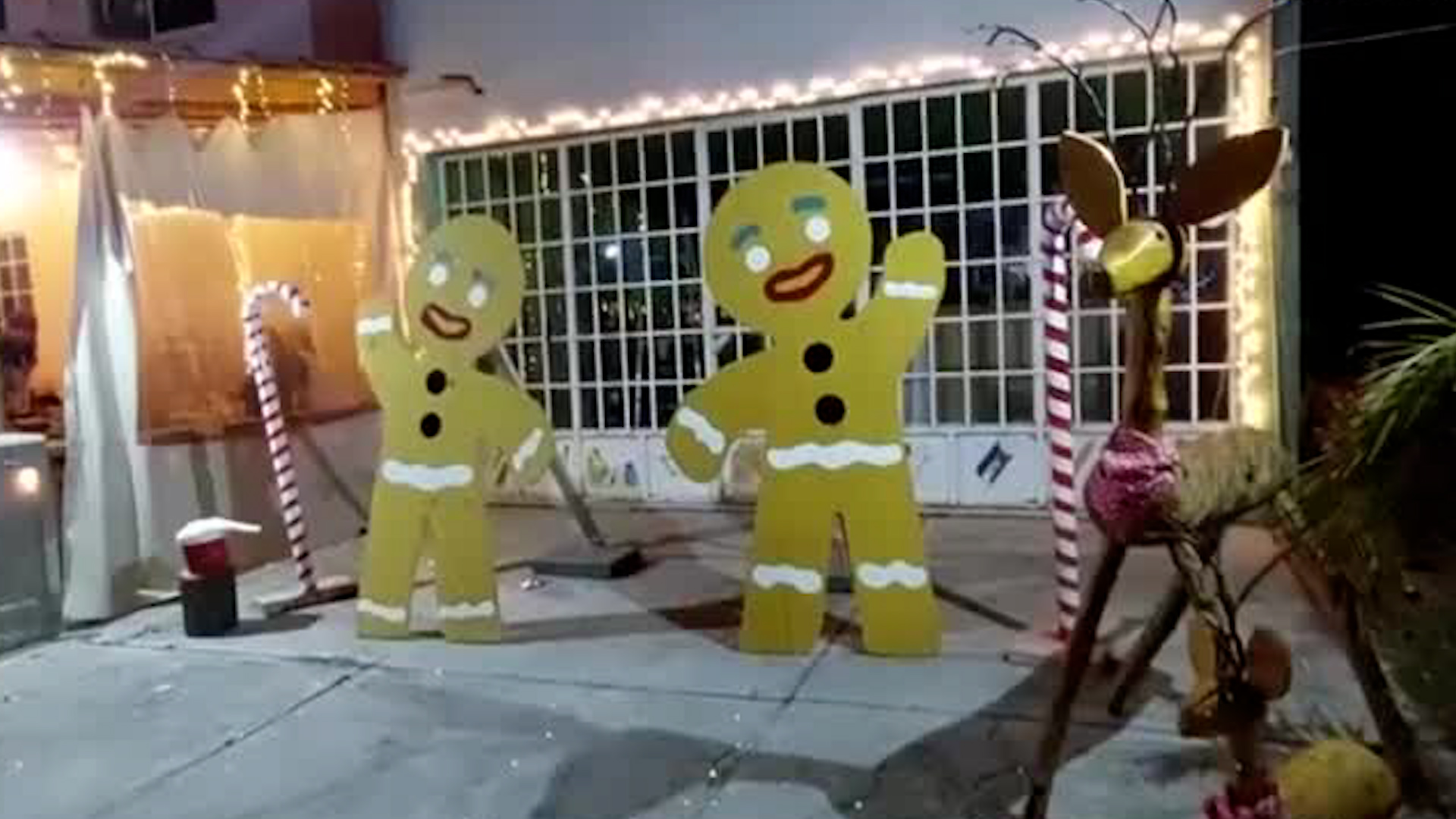 Familias en Tlaxcala adornan sus casas con miles de luces navideñas creando una fantasía para estas épocas.