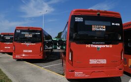 Camiones rojos de transporte Público Jalisco