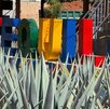 Letras de Tequila Jalisco entre pencas, el pueblo mágico de agave y tequila