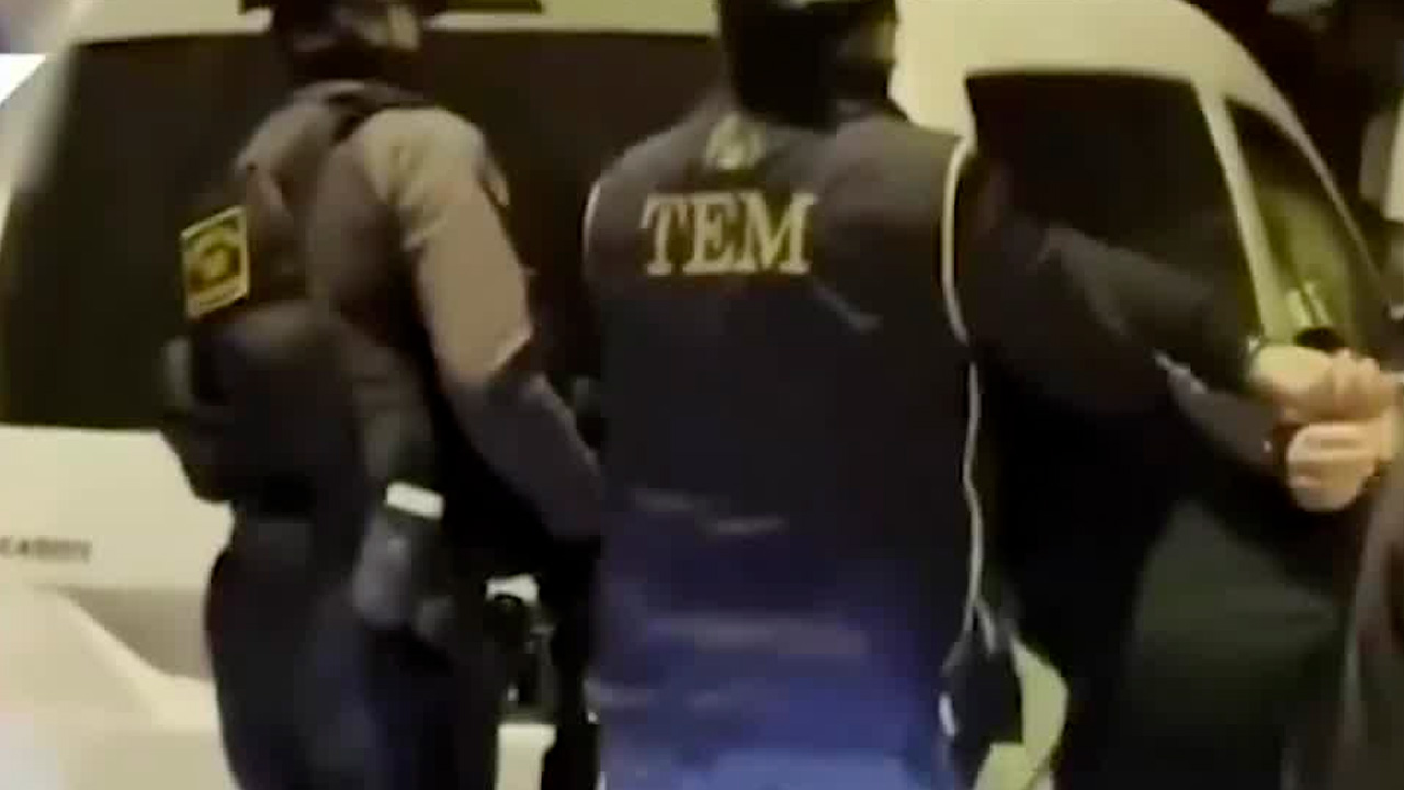 La policía turca realizó redadas en 124 puntos y detuvo a 115 presuntos miembros del Estado Islámico.