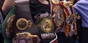 Naoya Inoue posee el título supergallo de los cuatro organismos, por lo que es campeón indiscutido.