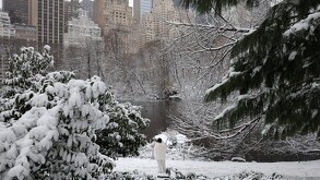 Esto es lo que sabemos sobre la situación que se vive actualmente en el país vecino y la cancelación de vuelos en plenas fechas navideñas.