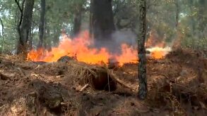 Con la temporada de incendios forestales activa, Protección Civil de Nuevo León está enfocado en reducir el nivel de afectación del suelo.