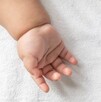 Mano de recién nacido en una cama