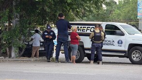 Peritos y policías trabajan junto a una camioneta blanca de la Fiscalía General (SEMEFO) en una zona acordonada bajo la sombra de un árbol.