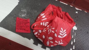 La Unión de Rescatistas Independientes hizo pública la denuncia a través de una publicación en redes sociales.