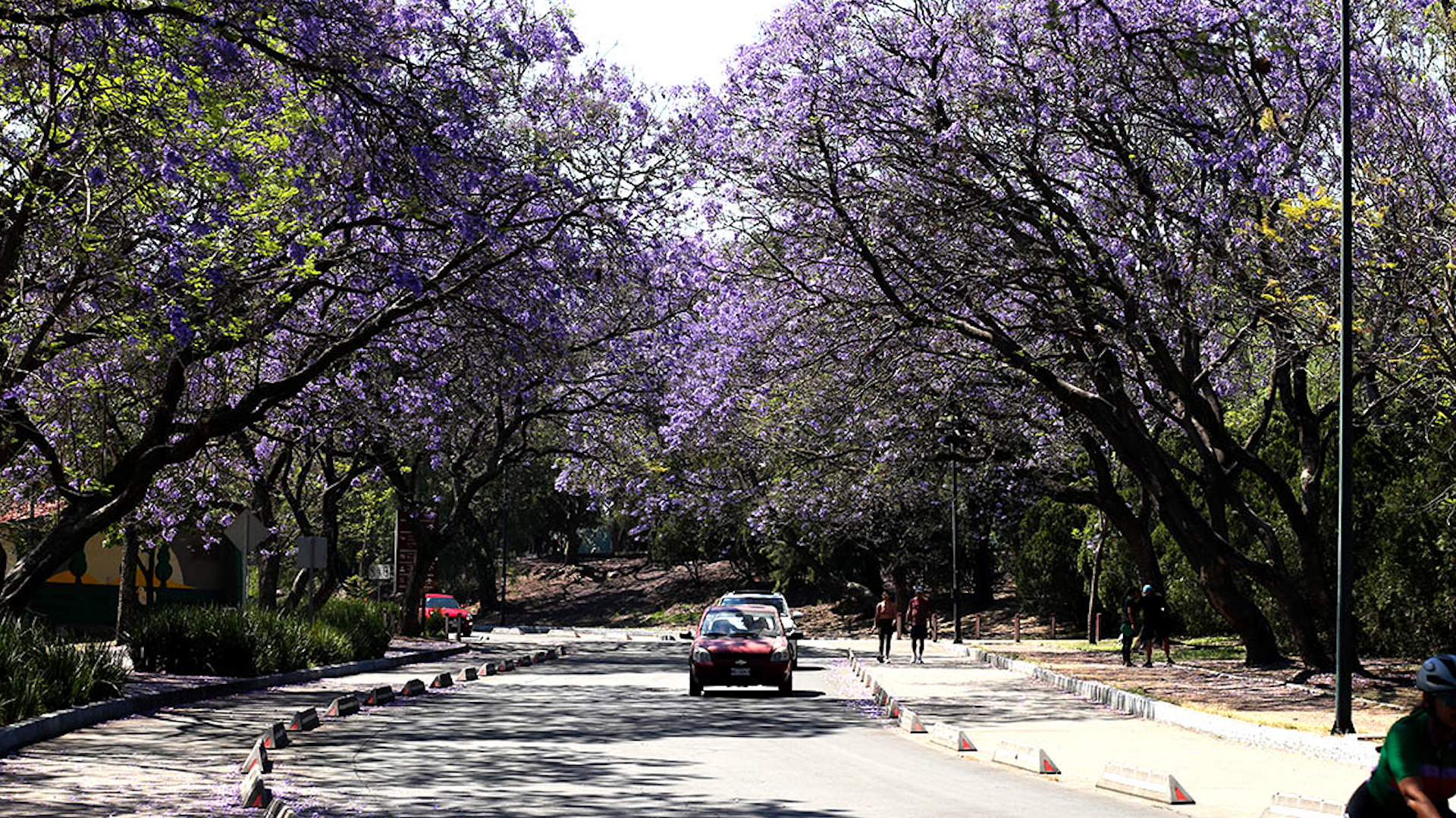 Aunque visitantes sienten alivio respecto al robo de menores, datos de la SSC muestran que el robo a transeúnte y de objetos persiste.