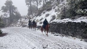 El paso del Frente Frío en Veracruz dejó una gran nevada en el Cofre de Perote.