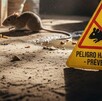 Anuncio de prevención de Hantavirus