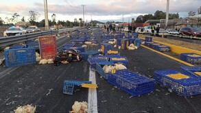 Tráiler se vuelca tras impactarse contra motocicleta en la Texcoco-Calpulalpan; reportan dos muertos