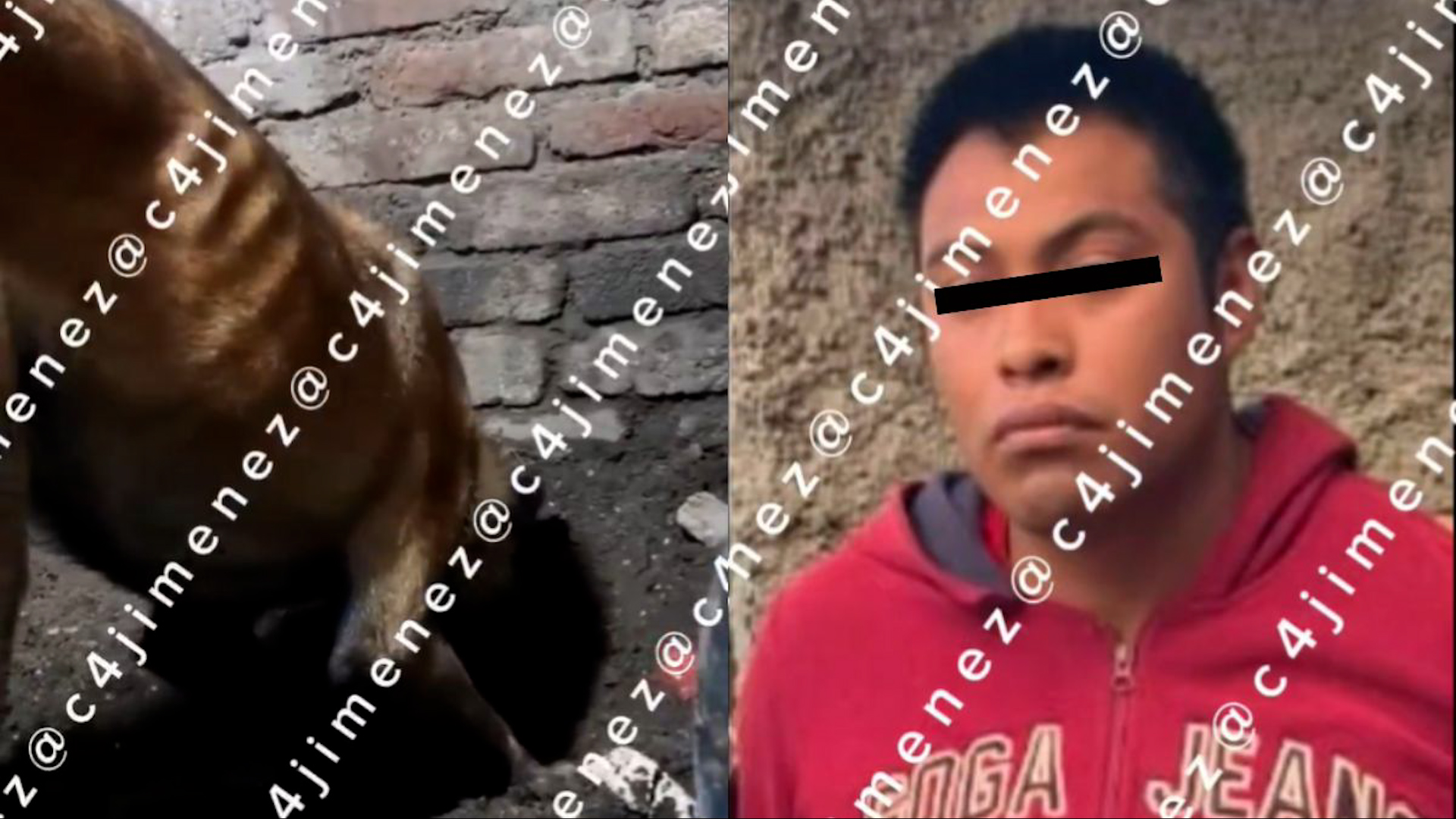 Su ex pareja, José Andrés, compartió la ficha de búsqueda para despistar.