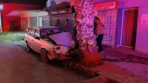 Automóvil destrozado luego de que dos menores de edad lo impactaran contra una palma en Torreón.