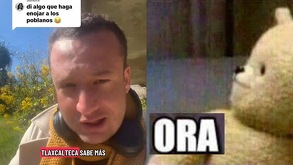 un hombre en un jardín y meme del osito ora