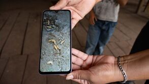 Primer caso de gusano barrenado en Edomex