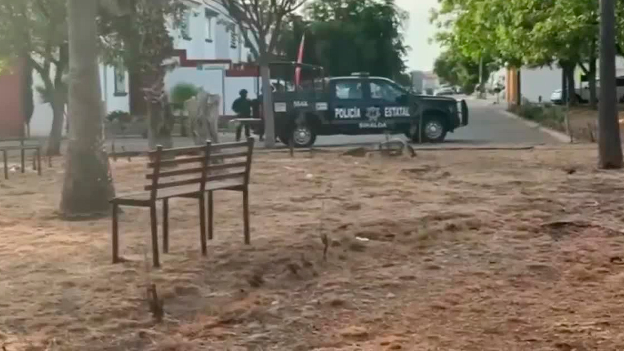Autoridades aseguraron un arsenal de armas, municiones, equipo táctico y un vehículo en un domicilio de Culiacán.