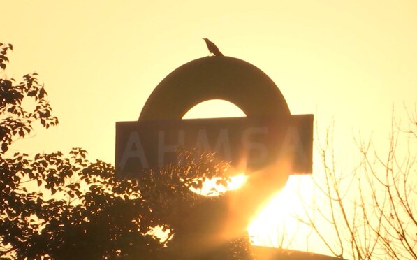 La diputada aseguró que la ciudad no luce como en años anteriores debido a la falta de recursos por parte de los trabajadores.
