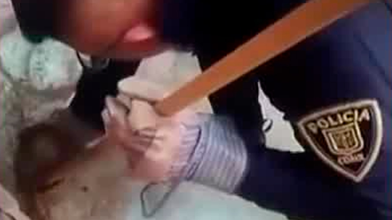 Una serpiente de grandes dimensiones fue rescatada del interior de un domicilio en la colonia Algarín, CdMx, tras un reporte ciudadano.