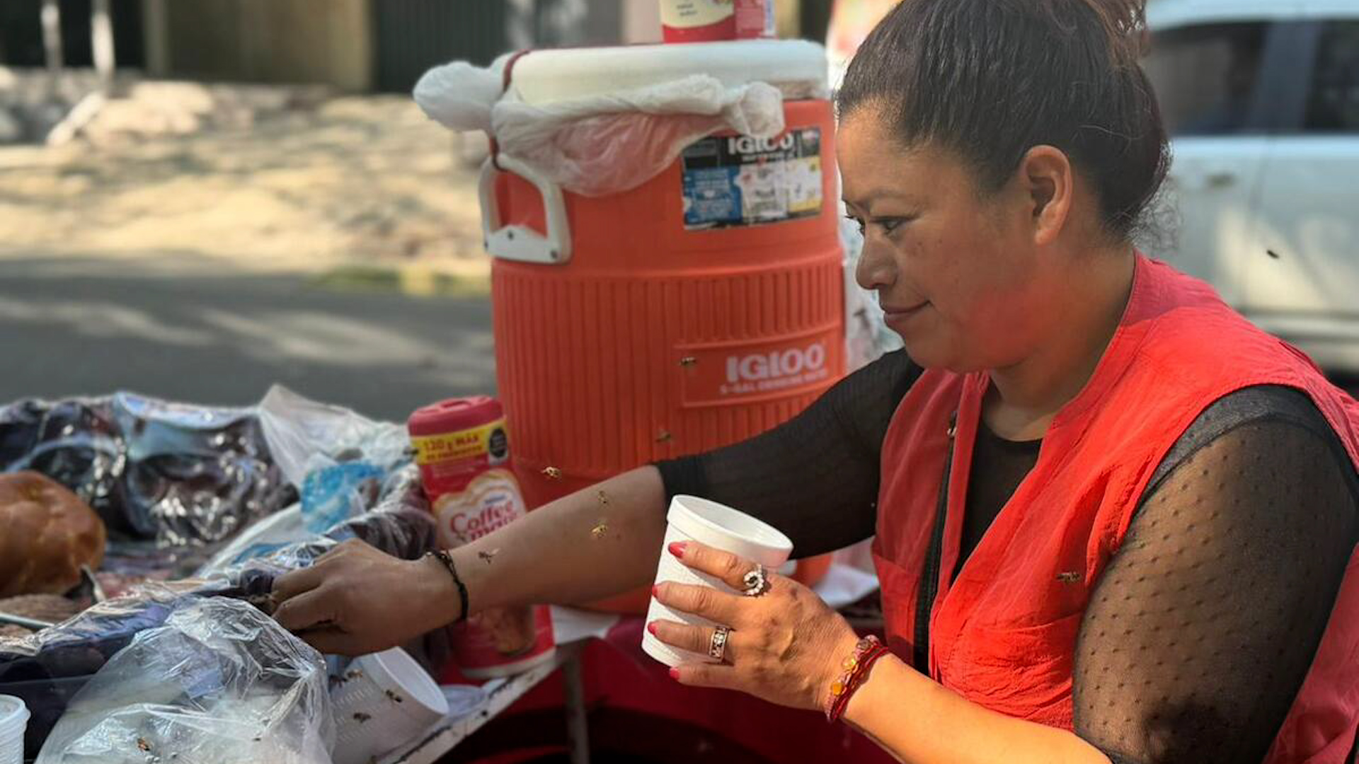 La Reina de las Abejas denuncia a gerente de restaurante en Condesa de usar trampas para matar a las abejas.