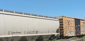 Vías del tren en las que un hombre, que aún no ha sido identificado, fue encontrado muerto en Mapimí.