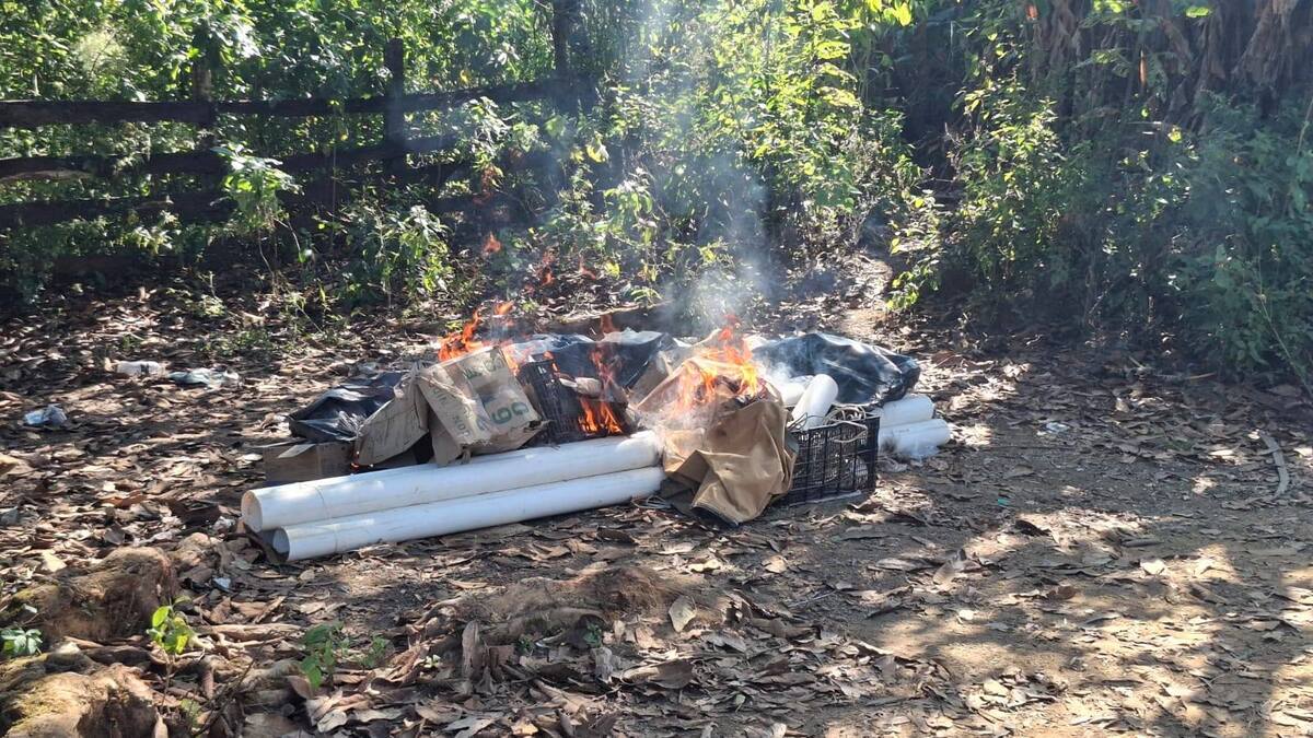 Cómo parte de el Plan Michoacán por la Paz, se detuvieron a doce personas dentro de Aguililla, Apatzingán, Buenavista Tomatlán, Coalcomán, Uruapan y Zamora.