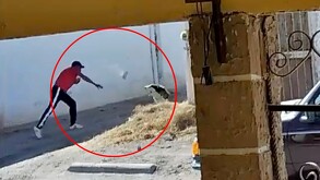 Momento en el que un hombre golpea con una piedra en la cabeza a un perro husky en el ejido Escuadrón 201 de Torreón.