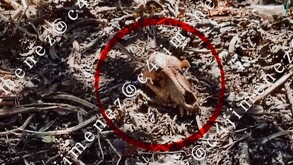 Las 5 noticias más importantes de C4 En Alerta hoy 7 de enero del 2026.