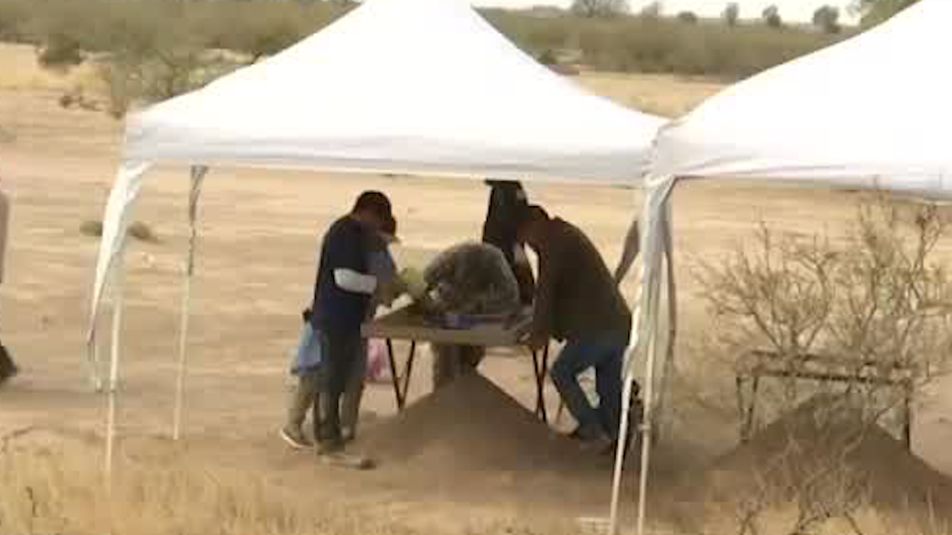 Grupo Vida confirmó el hallazgo de restos humanos en un nuevo punto de exterminio localizado en el municipio de Matamoros.