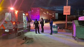 Se observa un perro, una ambulancia y varias personas.