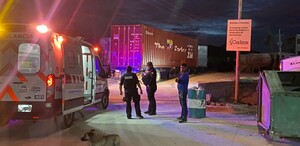 Se observa un perro, una ambulancia y varias personas.