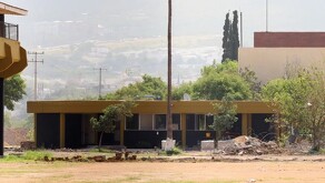 Solamente queda parte del esqueleto de la misma planta