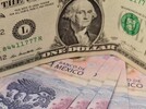 Dólares estadounidenses y billetes de 50 pesos.
