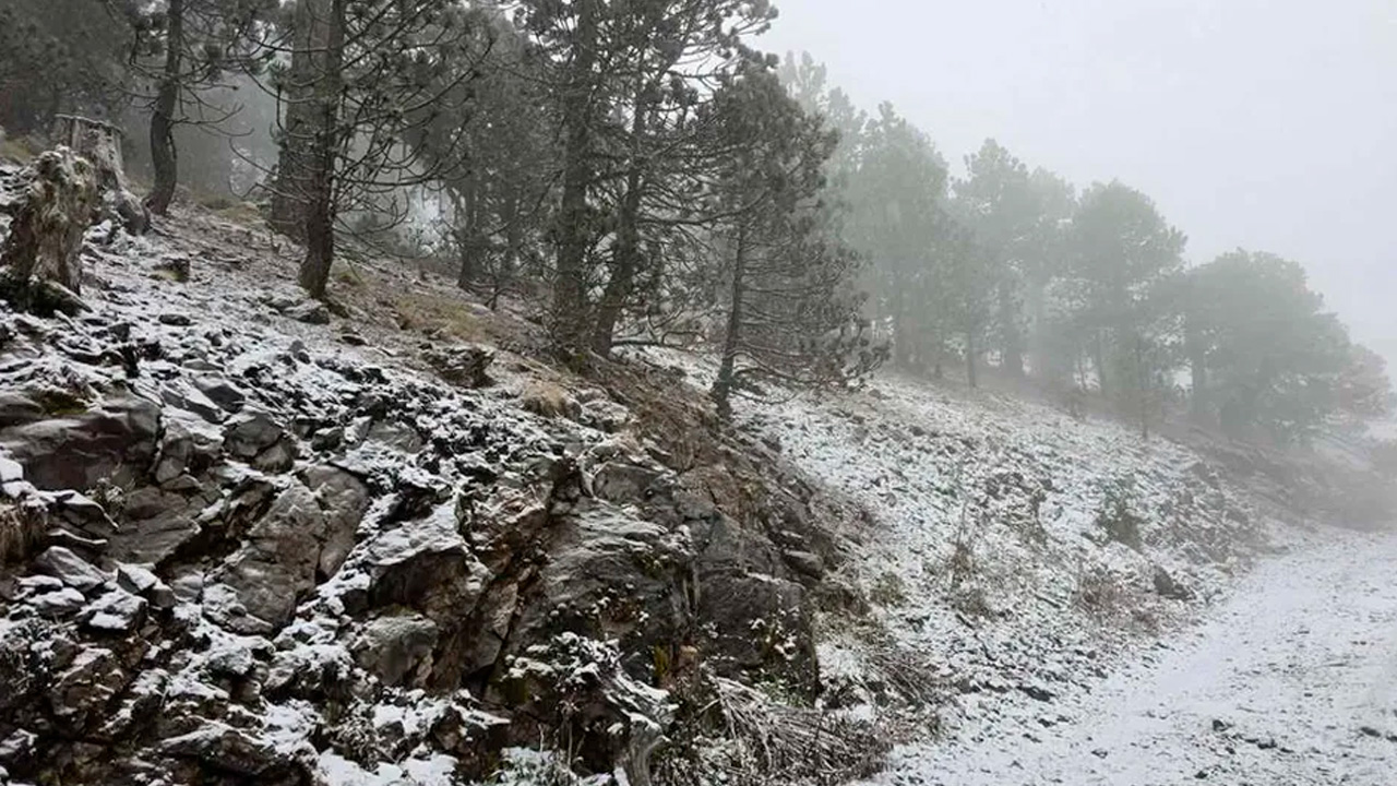 La entrada del frente frío 27 provocó la caída de nieve y aguanieve en el Cerro del Potosí, en Galeana, Nuevo León.
