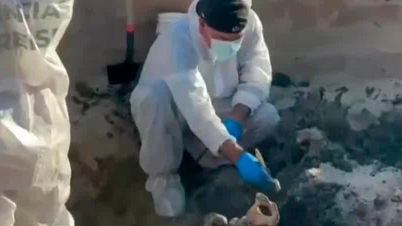 Autoridades localizaron nueve cuerpos en fosas clandestinas en la colonia Miguel Alemán, en la zona limítrofe del Valle de Mexicali y San Luis Río Colorado.