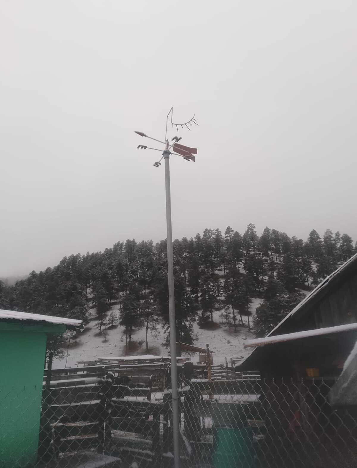 Imagen de la nevada en el municipio de Guanaceví.