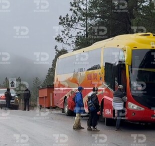 De acuerdo con senderistas, para llegar a las zonas más altas fue necesario caminar entre una hora y media y hasta dos horas.