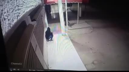 Los presuntos delincuentes arribaron al establecimiento ubicado en la intersección del Bulevar Laguna Sur y la calle Lago Baikal.