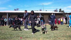 Clara Brugada defiende el cierre del Refugio Franciscano en Cuajimalpa; serán dados en adopción.