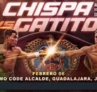 'Chispa' Medina enfrentará a 'Gatito' Curiel por el Campeonato Mundial WBO Gallo.