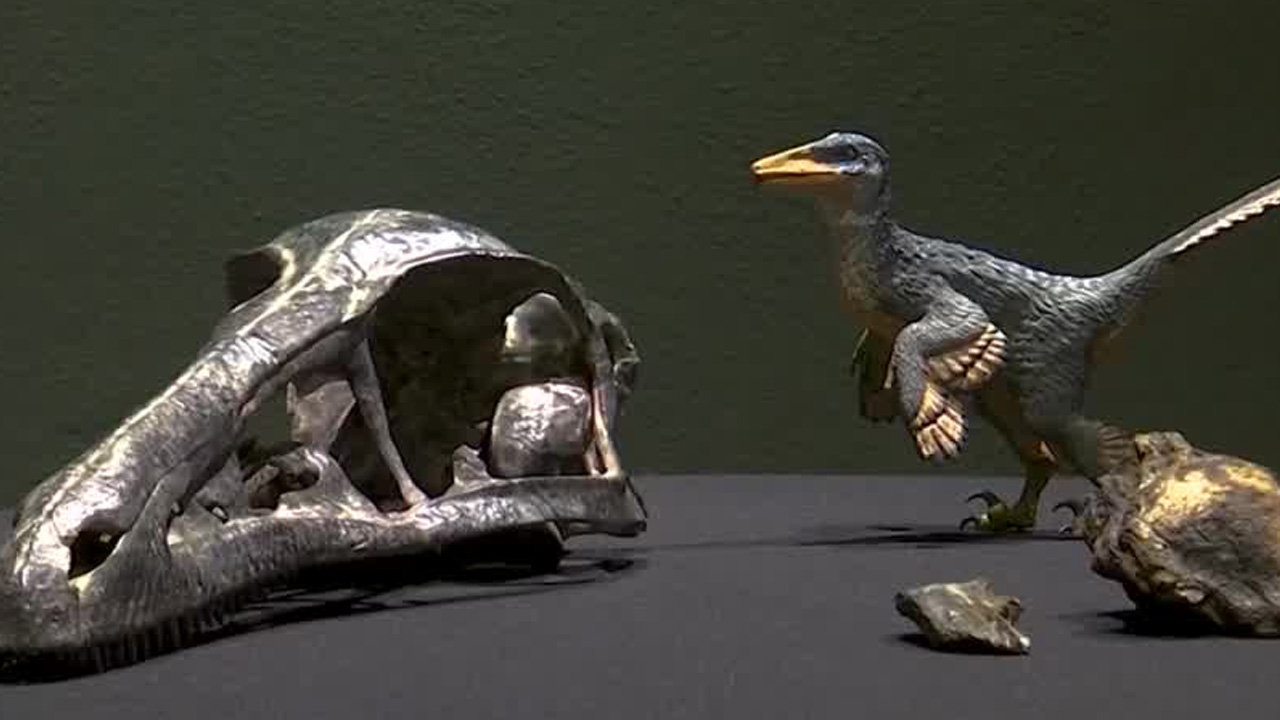 Científicos identificaron al Xenovenator espinosai, un dinosaurio carnívoro que vivió hace 74 millones de años en el sureste de Coahuila.