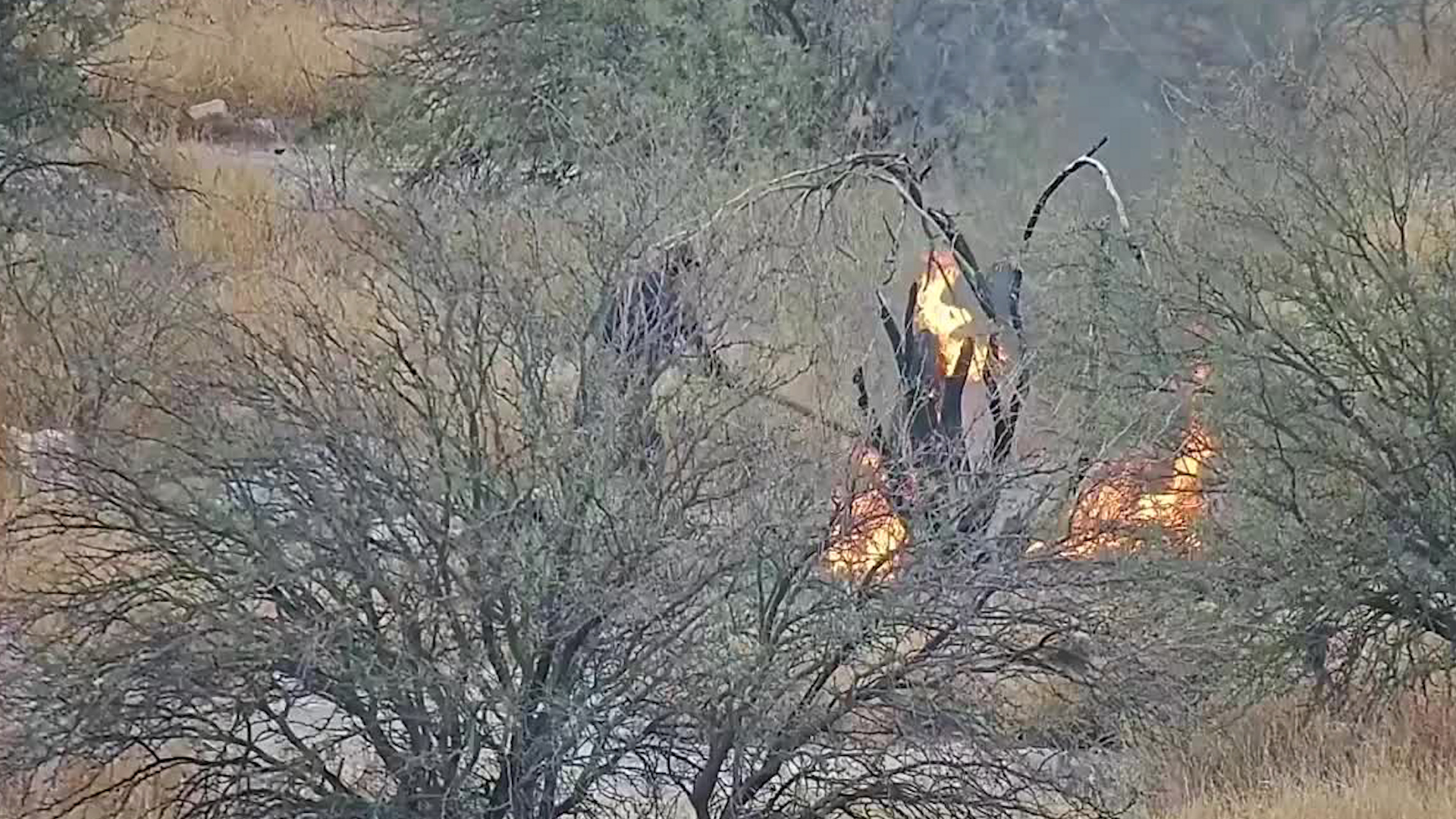Dos hombres incendiaron basura en un terreno baldío en la ciudad de Torreón.