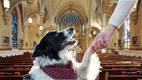 En Puebla se realizan misas especiales para bendecir a las mascotas.