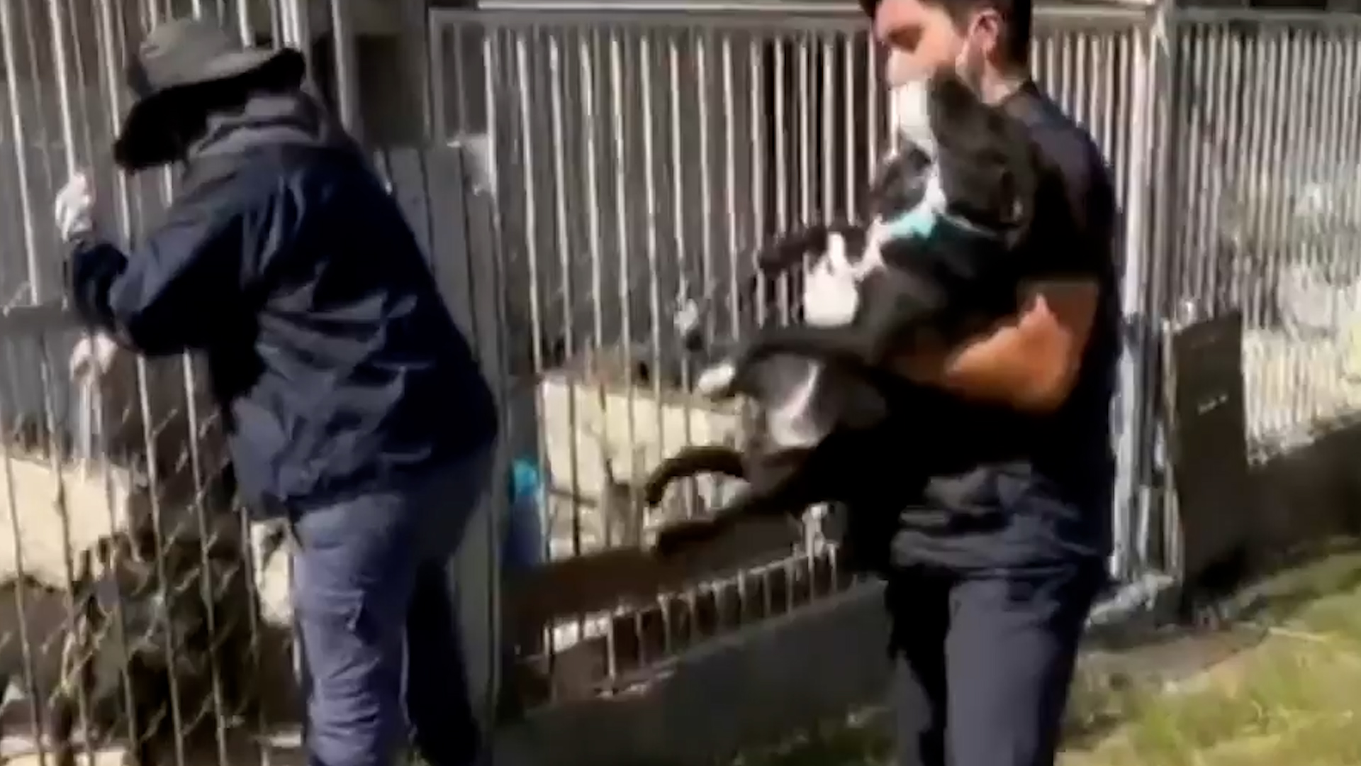 Mónica Alegre, encargada de la PAOT, asegura que el refugio en el deportivo Hermanos Galeana cuenta con veterinarios que revisan a todos los perros diariamente.